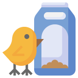 Bird Feeder